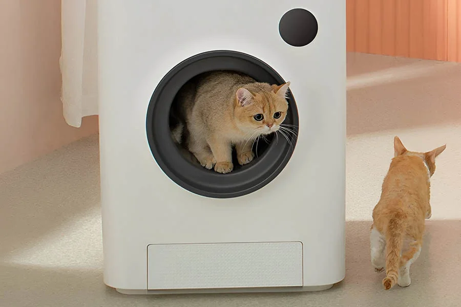 what is the best cat litter box