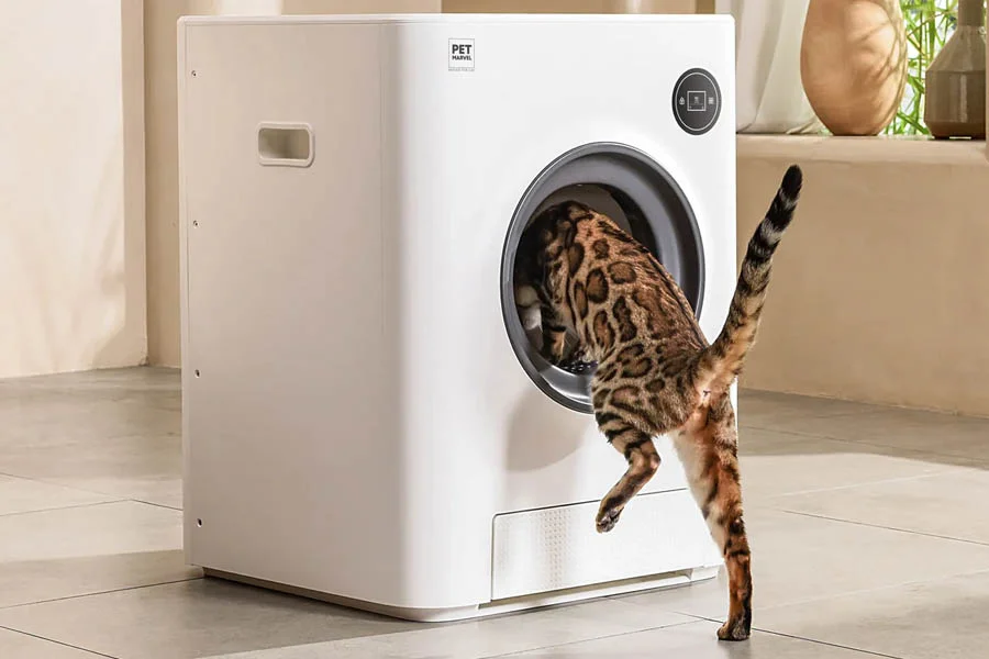 clean cat litter